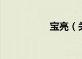 宝亮（关于宝亮介绍）