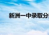 新洲一中录取分数线2022（新洲一中）