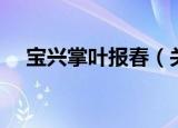 宝兴掌叶报春（关于宝兴掌叶报春介绍）