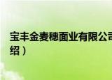 宝丰金麦穗面业有限公司（关于宝丰金麦穗面业有限公司介绍）