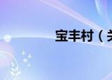 宝丰村（关于宝丰村介绍）