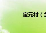 宝元村（关于宝元村介绍）