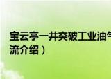 宝云亭一井突破工业油气流（关于宝云亭一井突破工业油气流介绍）