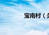 宝南村（关于宝南村介绍）