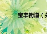 宝丰街道（关于宝丰街道介绍）