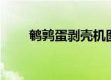 鹌鹑蛋剥壳机图纸（鹌鹑蛋剥壳机）