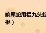 响尾蛇甩棍九头蛇安防诚信的一P（响尾蛇甩棍）