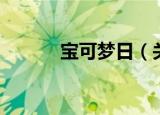 宝可梦日（关于宝可梦日介绍）