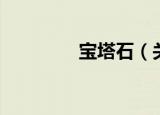 宝塔石（关于宝塔石介绍）