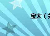 宝大（关于宝大介绍）