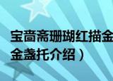 宝啬斋珊瑚红描金盏托（关于宝啬斋珊瑚红描金盏托介绍）