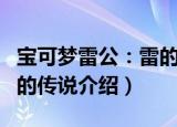 宝可梦雷公：雷的传说（关于宝可梦雷公：雷的传说介绍）