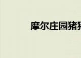 摩尔庄园猪猪快跑（猪猪快跑）