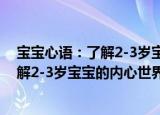 宝宝心语：了解2-3岁宝宝的内心世界（关于宝宝心语：了解2-3岁宝宝的内心世界介绍）