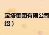宝塔集团有限公司（关于宝塔集团有限公司介绍）