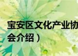宝安区文化产业协会（关于宝安区文化产业协会介绍）