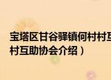 宝塔区甘谷驿镇何村村互助协会（关于宝塔区甘谷驿镇何村村互助协会介绍）