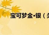 宝可梦金·银（关于宝可梦金·银介绍）