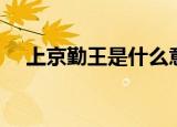 上京勤王是什么意思（勤王是什么意思）