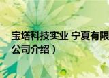 宝塔科技实业 宁夏有限公司（关于宝塔科技实业 宁夏有限公司介绍）