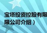宝塔投资控股有限公司（关于宝塔投资控股有限公司介绍）