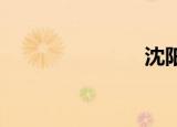 沈阳赵毅韦德