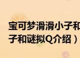 宝可梦滑滑小子和谜拟Q（关于宝可梦滑滑小子和谜拟Q介绍）