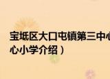 宝坻区大口屯镇第三中心小学（关于宝坻区大口屯镇第三中心小学介绍）