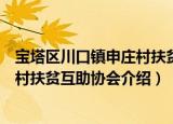 宝塔区川口镇申庄村扶贫互助协会（关于宝塔区川口镇申庄村扶贫互助协会介绍）