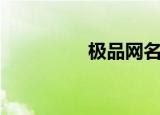 极品网名长（极品网名）