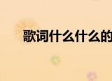 歌词什么什么的纪念品（纪念品歌词）