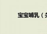 宝宝哺乳（关于宝宝哺乳介绍）