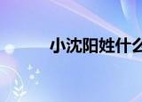 小沈阳姓什么?（小沈阳姓什么）