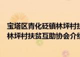 宝塔区青化砭镇林坪村扶贫互助协会（关于宝塔区青化砭镇林坪村扶贫互助协会介绍）
