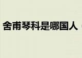 舍甫琴科是哪国人（舍甫琴科为什么叫舍瓦）