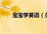 宝宝学英语（关于宝宝学英语介绍）