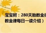 宝宝树：280天胎教金律每日一读（关于宝宝树：280天胎教金律每日一读介绍）