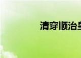 清穿顺治皇后（顺治皇后）
