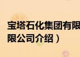 宝塔石化集团有限公司（关于宝塔石化集团有限公司介绍）