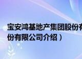 宝安鸿基地产集团股份有限公司（关于宝安鸿基地产集团股份有限公司介绍）