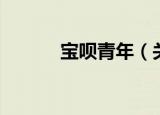 宝呗青年（关于宝呗青年介绍）