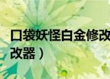 口袋妖怪白金修改器事件栏（口袋妖怪白金修改器）