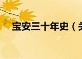 宝安三十年史（关于宝安三十年史介绍）