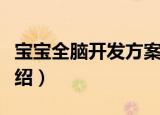 宝宝全脑开发方案（关于宝宝全脑开发方案介绍）
