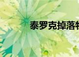 泰罗克掉落物品（泰罗克掉落）