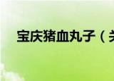 宝庆猪血丸子（关于宝庆猪血丸子介绍）