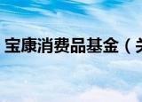 宝康消费品基金（关于宝康消费品基金介绍）