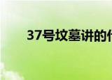 37号坟墓讲的什么故事（37号坟墓）