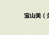 宝山美（关于宝山美介绍）