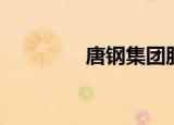 唐钢集团股票（唐钢股票）